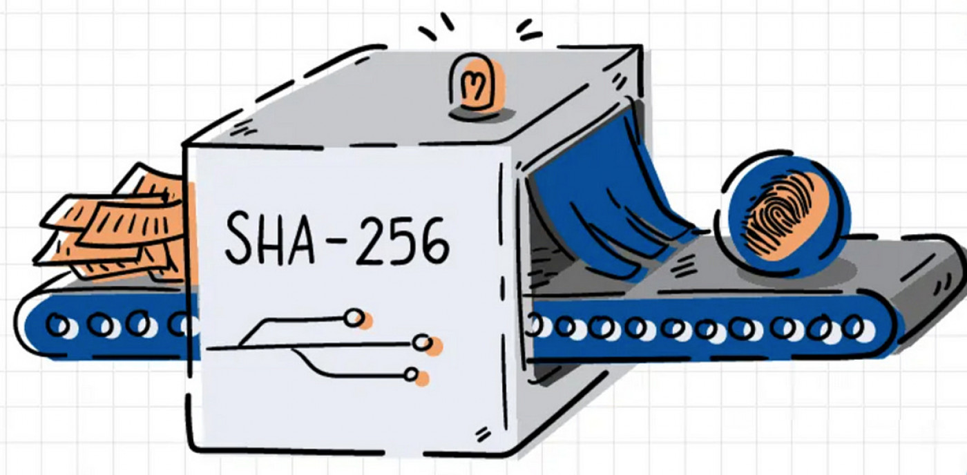 SHA-256: что это и как работает алгоритм шифрования в 2022